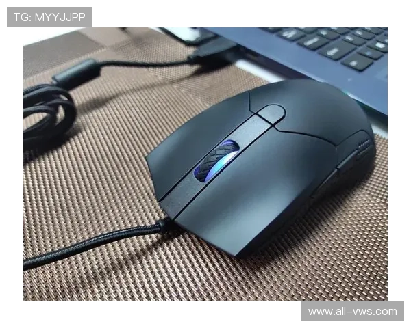 PA真人棋牌的技术支持与维护，确保游戏环境稳定流畅